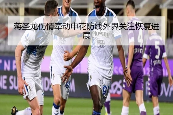 蒋圣龙伤情牵动申花防线外界关注恢复进展